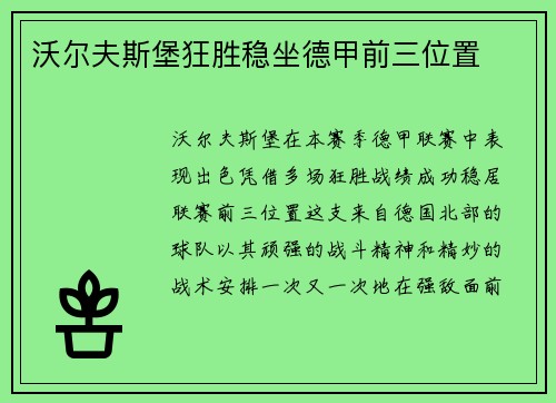 沃尔夫斯堡狂胜稳坐德甲前三位置