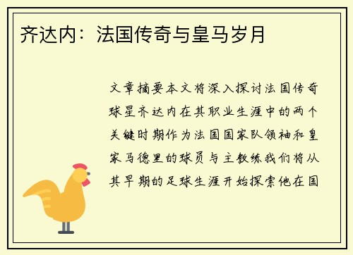 齐达内：法国传奇与皇马岁月